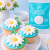 FlexiFondant / Fondant Color Blanco